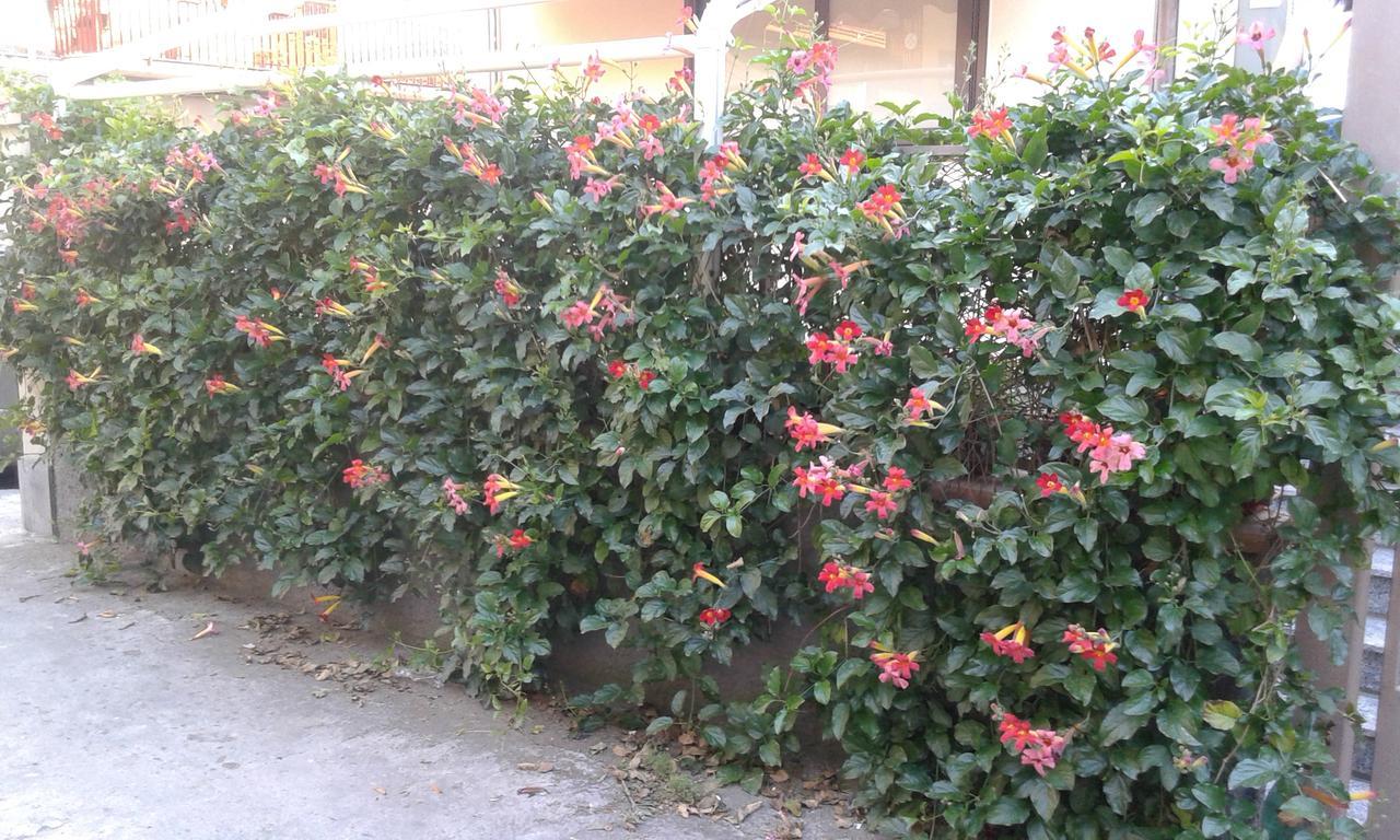 Eurelios Adrano Exterior foto